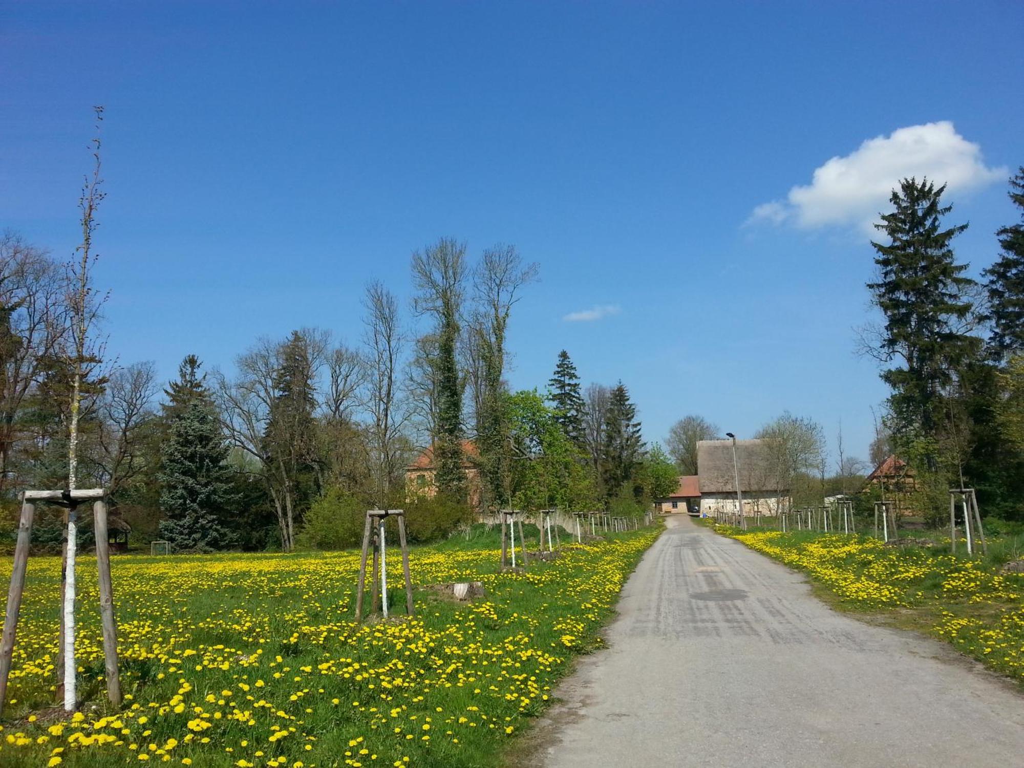 Wasserburg Turow Bed & Breakfast Glewitz Exterior photo